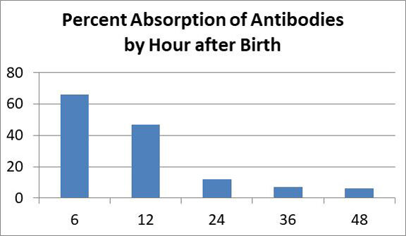 Antibody absorption chart